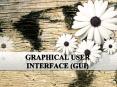 GUI PowerPoint PPT Presentation