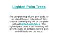 Lighted Palm Trees PowerPoint PPT Presentation