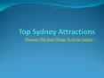 Sydney Tours - Top Things To Do