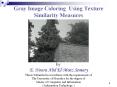 Gray Image Coloring Using Texture Similarity Measures- Thesis Discussion PowerPoint PPT Presentation