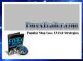 Stop Loss EA PowerPoint PPT Presentation