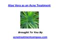 Aloe Vera as an Acne Treatment