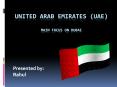 uae PowerPoint PPT Presentation