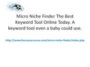micro niche finder