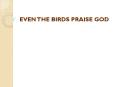 EVEN THE BIRDS PRAISE GOD PowerPoint PPT Presentation