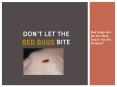 Don’t Let the Bed Bugs Bite - Bed Bugs Are On the Rise. Could You Be At Risk? PowerPoint PPT Presentation