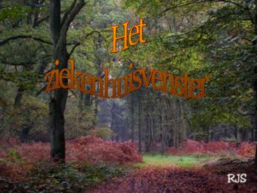 Het ziekenhuisvenster