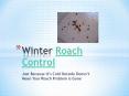 Winter Roach Control- Just Because It’s Cold Outside Does Not Mean Your Roach Problem is Gone PowerPoint PPT Presentation
