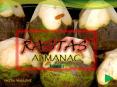 Rastas Almanac  (April) PowerPoint PPT Presentation