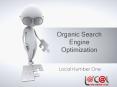 Organic Search Engine Optimization PowerPoint PPT Presentation