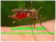 Alaroma-IMR PowerPoint PPT Presentation