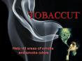 Tobaccut PowerPoint PPT Presentation