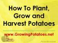 How To Plant, Grow and Harvest Potatoes PowerPoint PPT Presentation