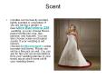 Bally Prom PowerPoint PPT Presentation