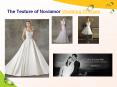 The Texture of Noviamor Wedding Dresses PowerPoint PPT Presentation