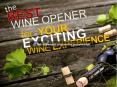 The Best Wine Opener for Your Exciting Wine Experience PowerPoint PPT Presentation