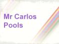 Mr. Carlos Pools Inc Utilizes A Personal Approach With Customers PowerPoint PPT Presentation