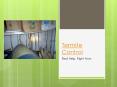 Termite Control – Real Help, Right Now PowerPoint PPT Presentation