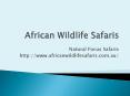 Botswana Safari - Africanwildlifesafaris.com.au