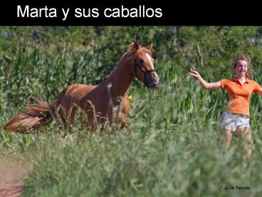 Marta y sus caballos