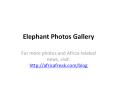 Elephant Photos Gallery PowerPoint PPT Presentation