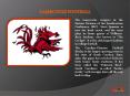 USC Gamecocks Tickets PowerPoint PPT Presentation