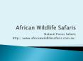 African Wildlife Safaris and Tours PowerPoint PPT Presentation