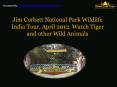 Jim Corbett National Park India Tour 2012, Corbett Tiger Reserve PowerPoint PPT Presentation