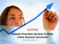 Website Promotion Services To Make Online Business Successful PowerPoint PPT Presentation