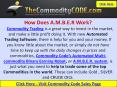 How Does The Commodity Code A.M.B.E.R Software Work PowerPoint PPT Presentation