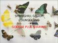 SPRINGHILL GROUP COUNSELLING - Google Plus PowerPoint PPT Presentation