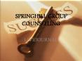 SPRINGHILL GROUP COUNSELLING - Livejournal PowerPoint PPT Presentation