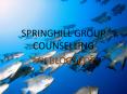 SPRINGHILL GROUP COUNSELLING - My Blogspot PowerPoint PPT Presentation