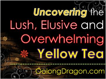 Uncovering the Lush, Elusive and Overwhelming Yellow Tea