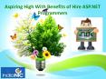 Aspiring High With Benefits of Hire ASP.NET Programmers PowerPoint PPT Presentation
