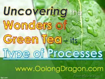 Uncovering the Wonders of Green Tea – its Type of Processes