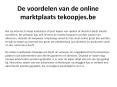 De voordelen van de online marktplaats tekoopjes PowerPoint PPT Presentation
