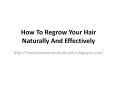 How to Treat Hair Fall PowerPoint PPT Presentation