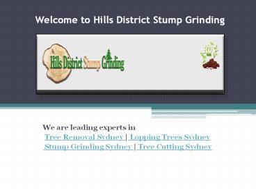 Tree Services Castle Hill - Tree Service Baulkham Hills