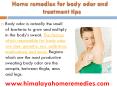 Home remedies for body odor and treatment tips PowerPoint PPT Presentation
