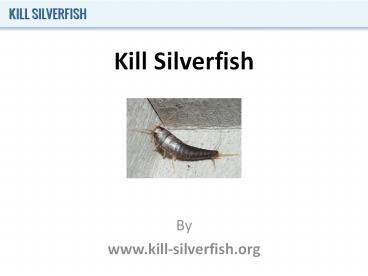 Kill Silverfish
