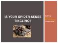 Is Your Spider-Sense Tingling? - Fighting Common Florida Spider Infestations PowerPoint PPT Presentation