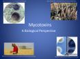 Mycotoxins PowerPoint PPT Presentation