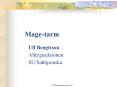 Mage-tarm PowerPoint PPT Presentation