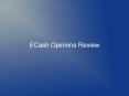 eCash Opinions Review PowerPoint PPT Presentation