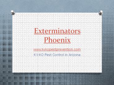 KY-KO Pest Control in Arizona