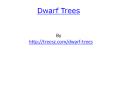 Dwarf Trees PowerPoint PPT Presentation