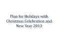 Plan for Holidays with Christmas Celebration and New Year 2013
