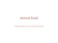 Information on animal feed PowerPoint PPT Presentation