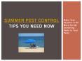 Summer Pest Control Tips You need Now - Make Your Summer A Bit More Fun By Uninviting Pests to Your Party PowerPoint PPT Presentation